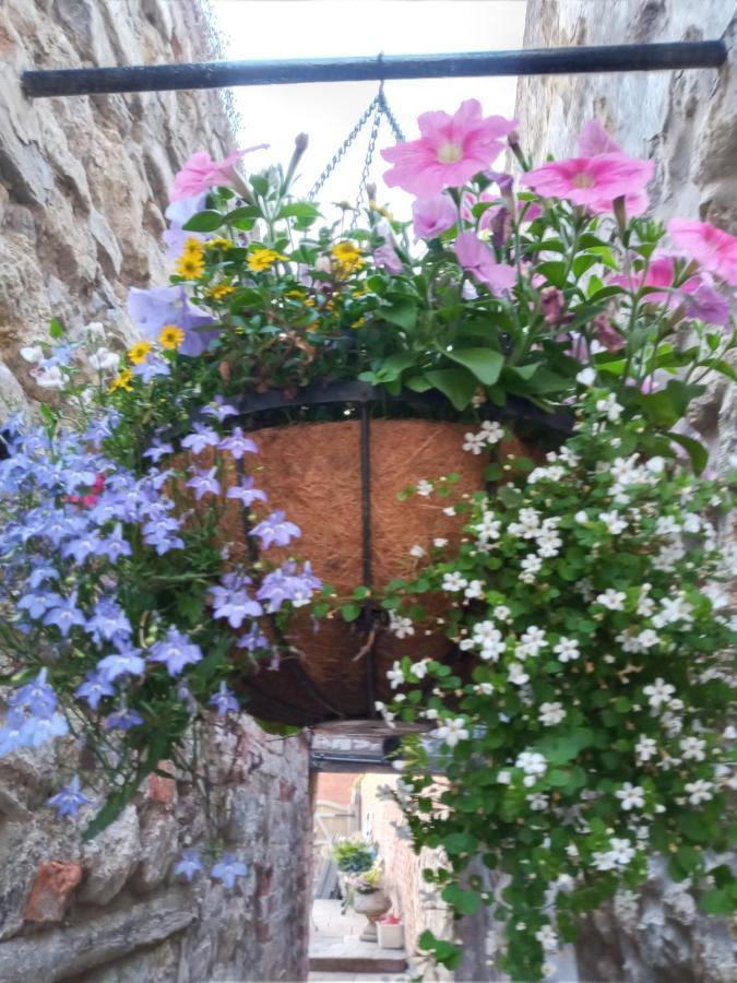Delighful Self Catering In The Heart Of Glastonbury Exterior foto